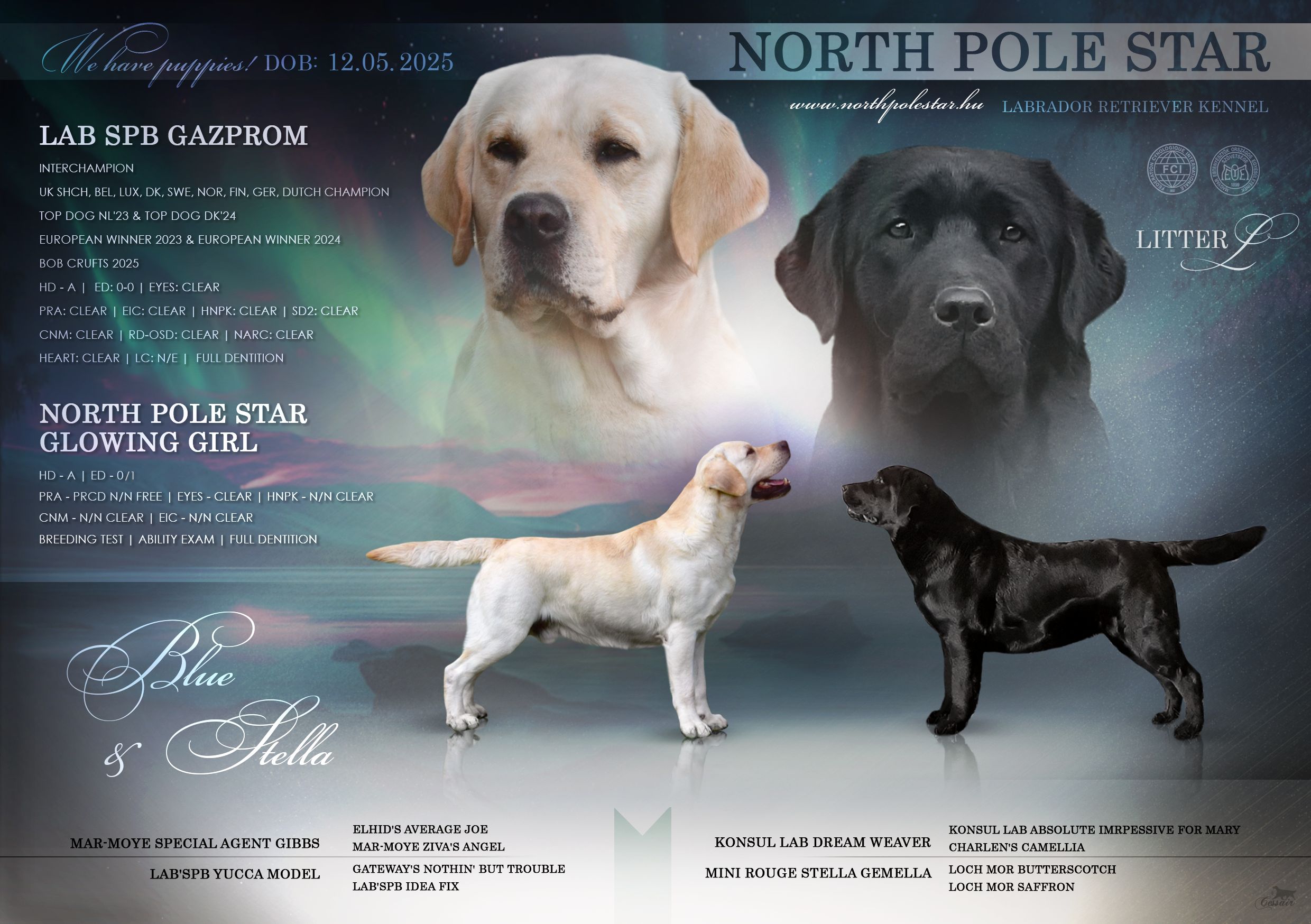 northpolestar 20250512