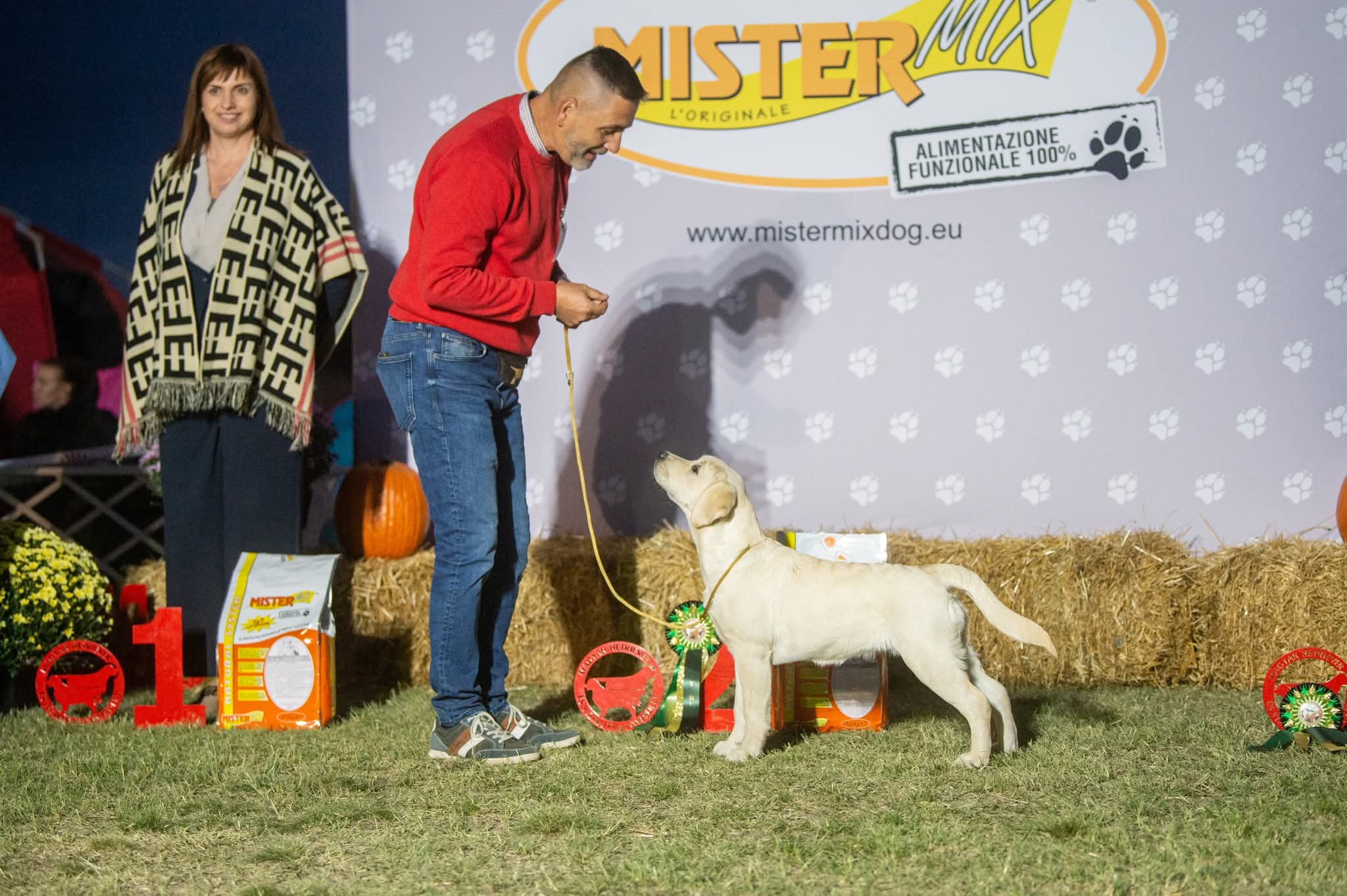 northpolestar MRVE 2025 02