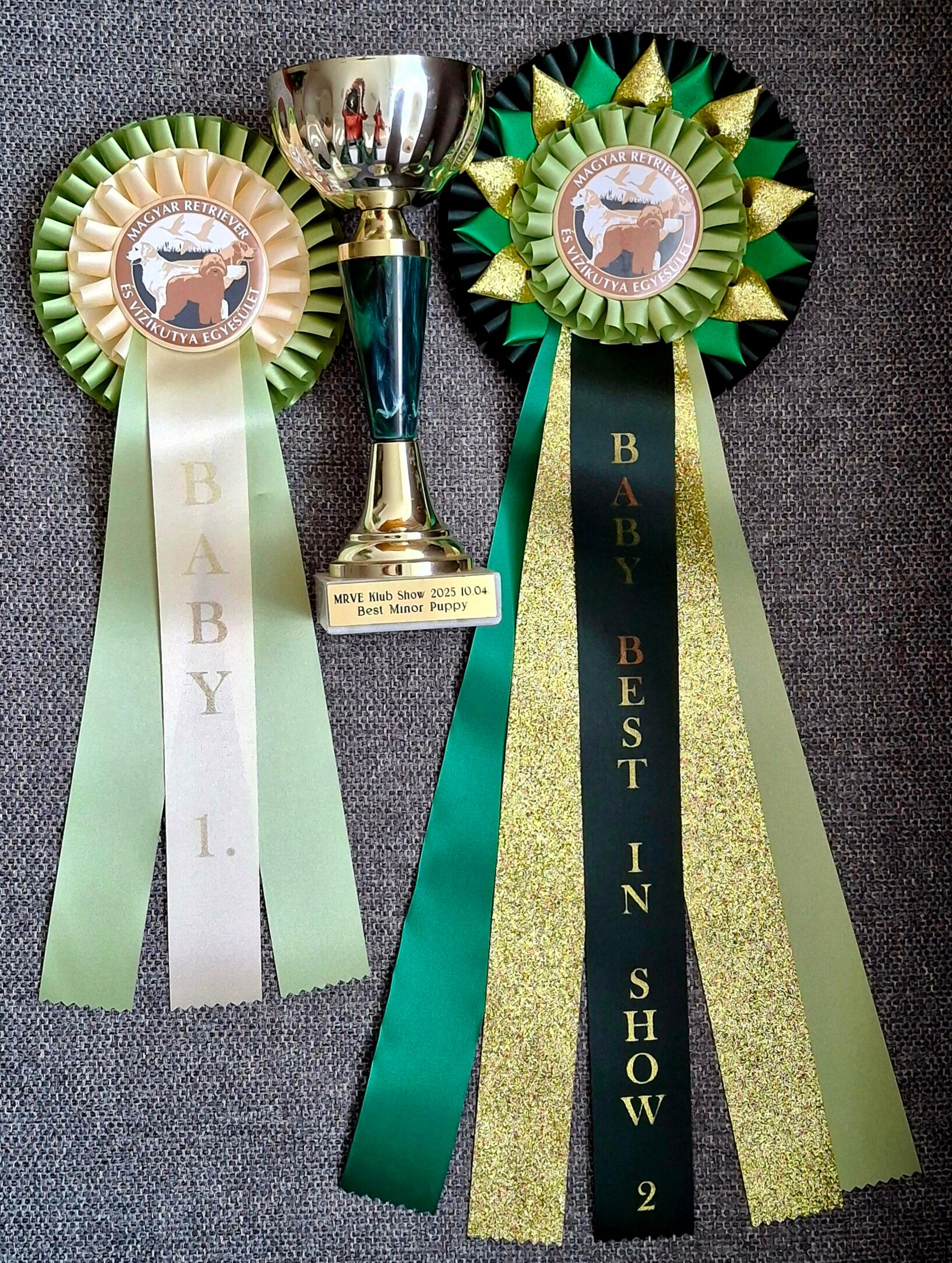 northpolestar MRVE 2025 dij