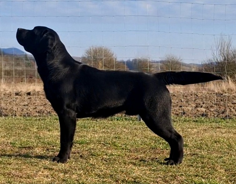 northpolestar kan 01 2026